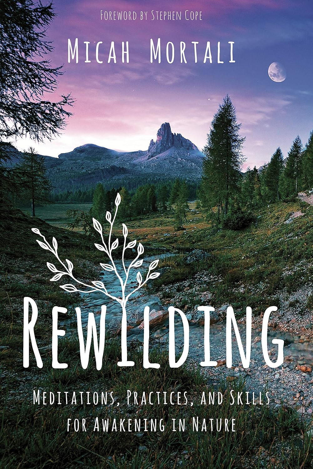 Book cover of Rewilding by Micah Mortali