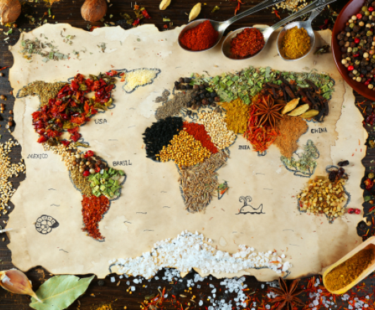 spices of all types and colors laid out on top of a map in the shape of the map of the earth