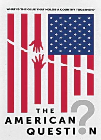 DVD cover of An American Question