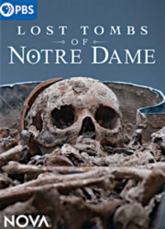 DVD Cover for the Lost tombs of Norte Dame