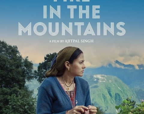 DVD cover of Fire in the Mountains